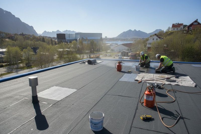 Single Ply Roof Replacement in Alexandria, VA