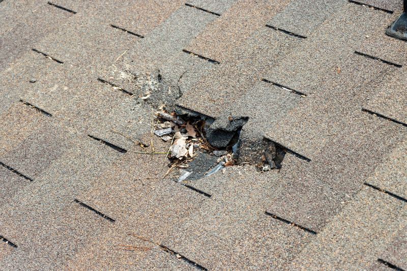 Damaged Roof Replacement in Alexandria, VA